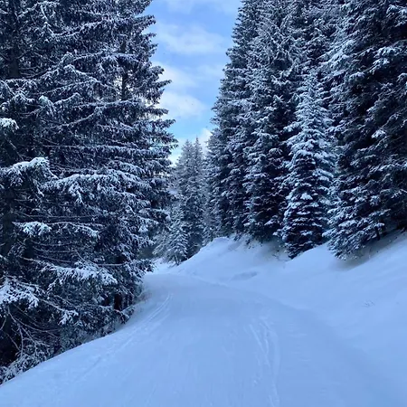 Apartman Martina 7 Rauris