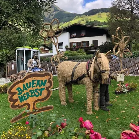 Apartman Martina 7 *