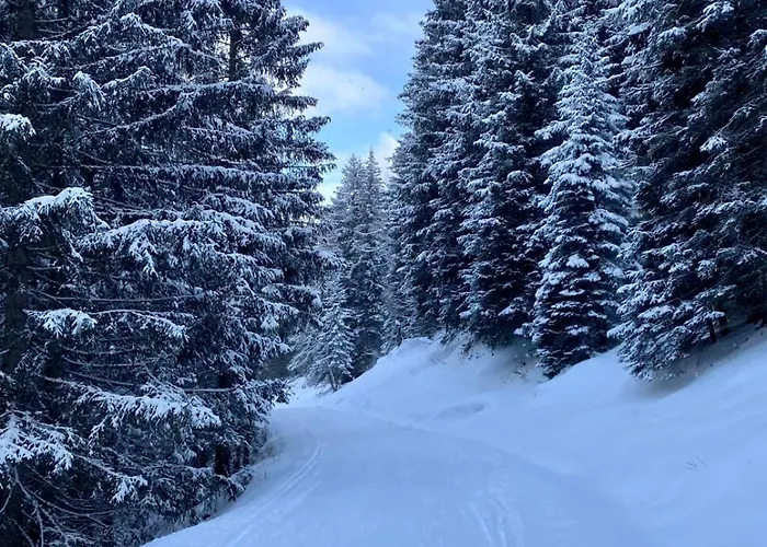 Apartmán Martina 7 Rauris